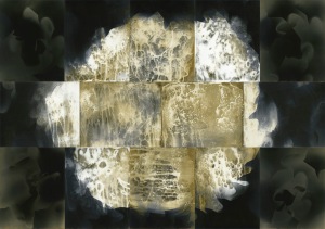 "Genesis," unique unfixed gelatin silver prints, 28" x 40", 2017, David Ondrik, (private collection)